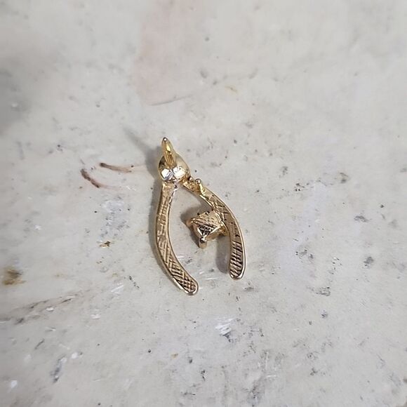 Make A Wish! Wishbone and Rhinestone Lapel Pin - Picture 4 of 4